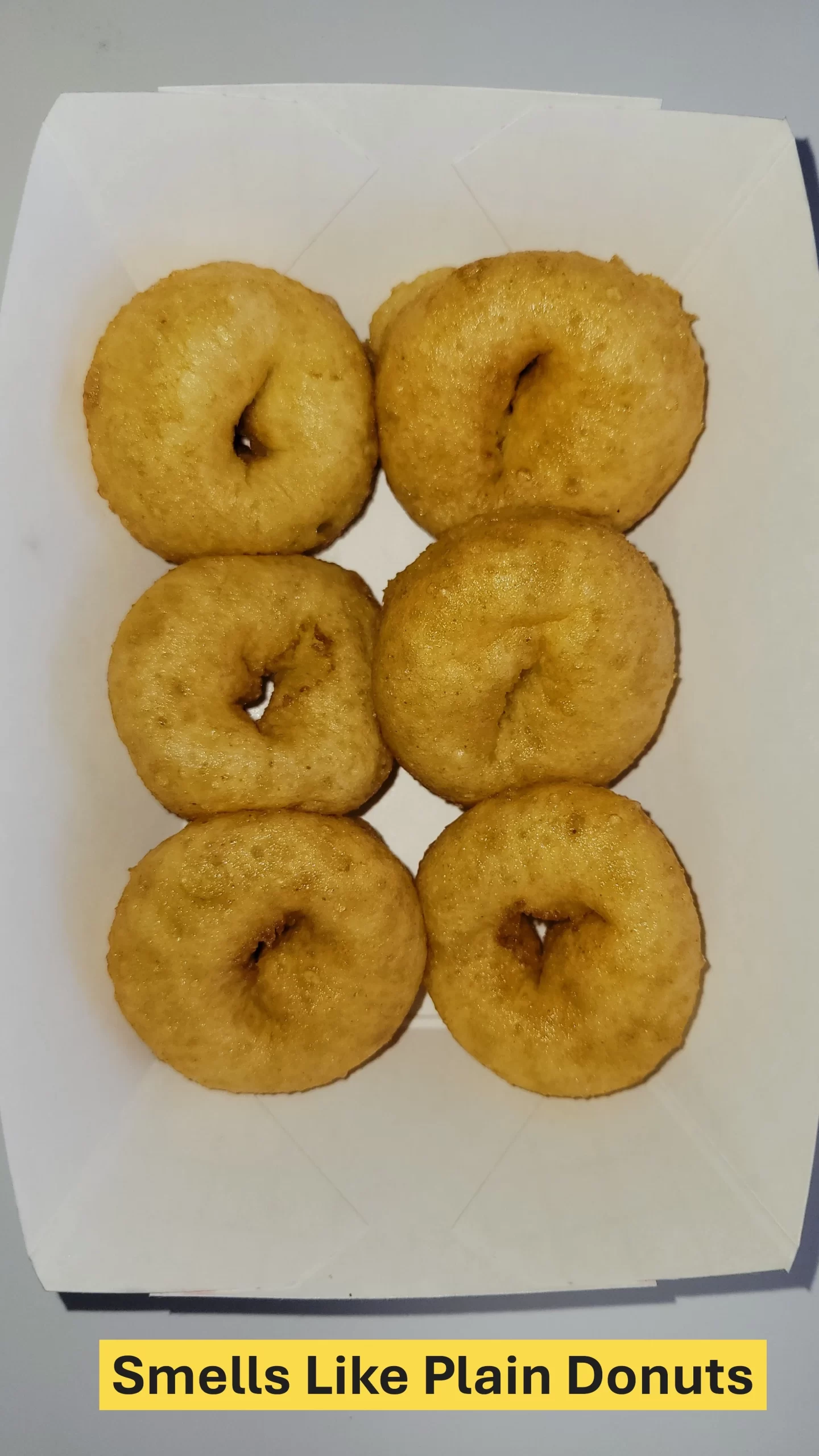 Smells Like Plain Donuts mini donuts